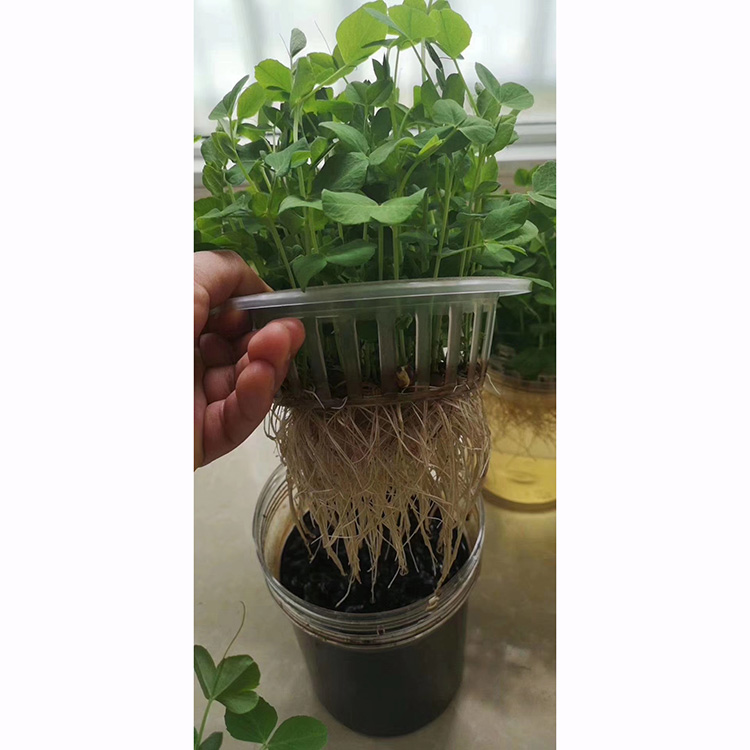 黃腐酸鉀的實驗